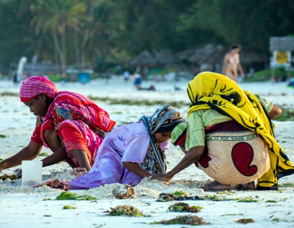 A Day in the Life of a Great African Wonders Guide