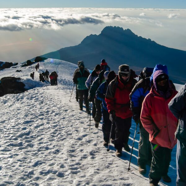8 Days Mount Kilimanjaro Trekking Package