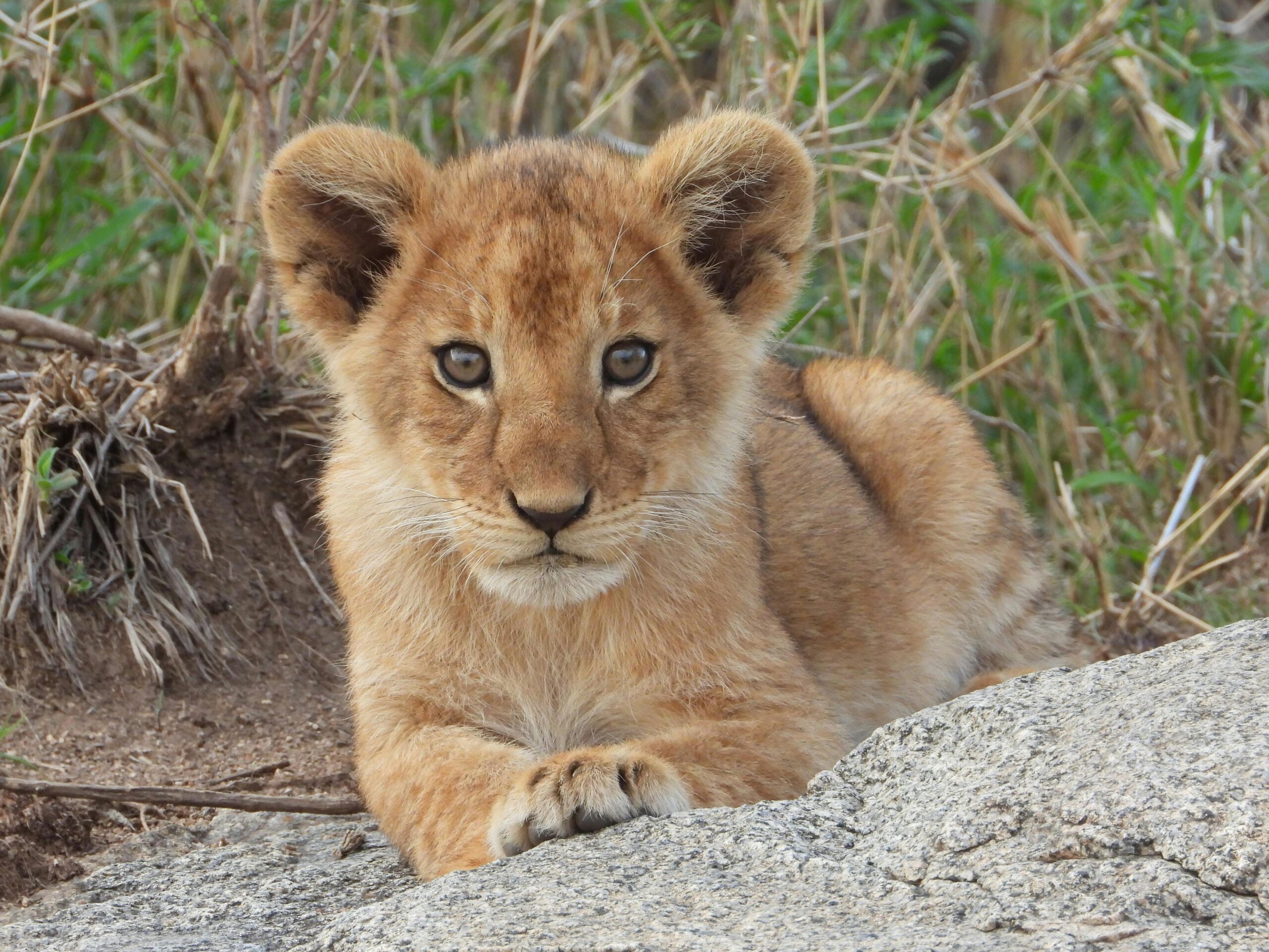 Serengeti National Park